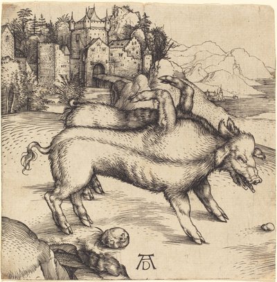 The Monstrous Pig of Landser by Albrecht Dürer